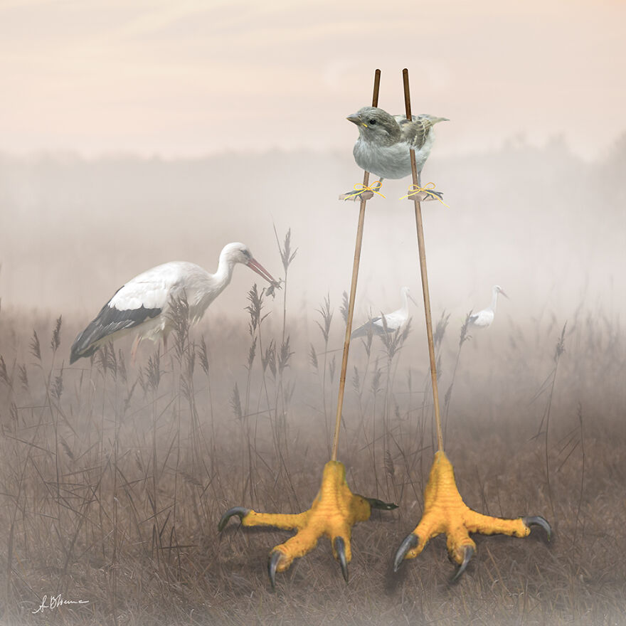 I Make Surreal New Worlds With Photos