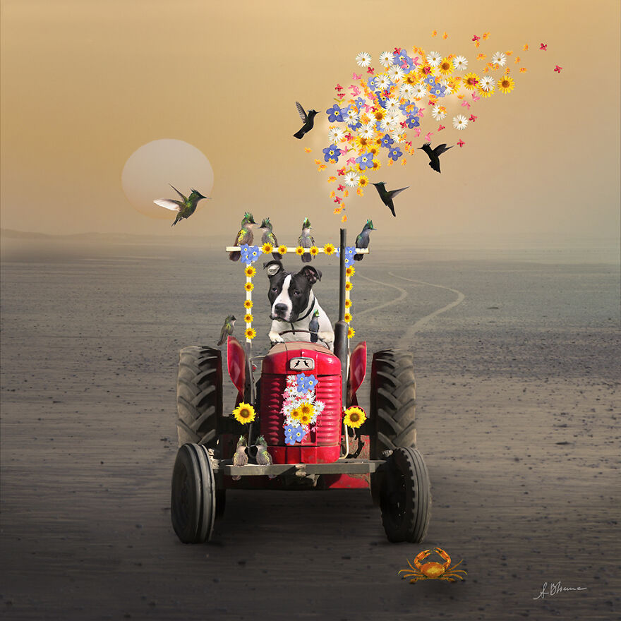 I Make Surreal New Worlds With Photos