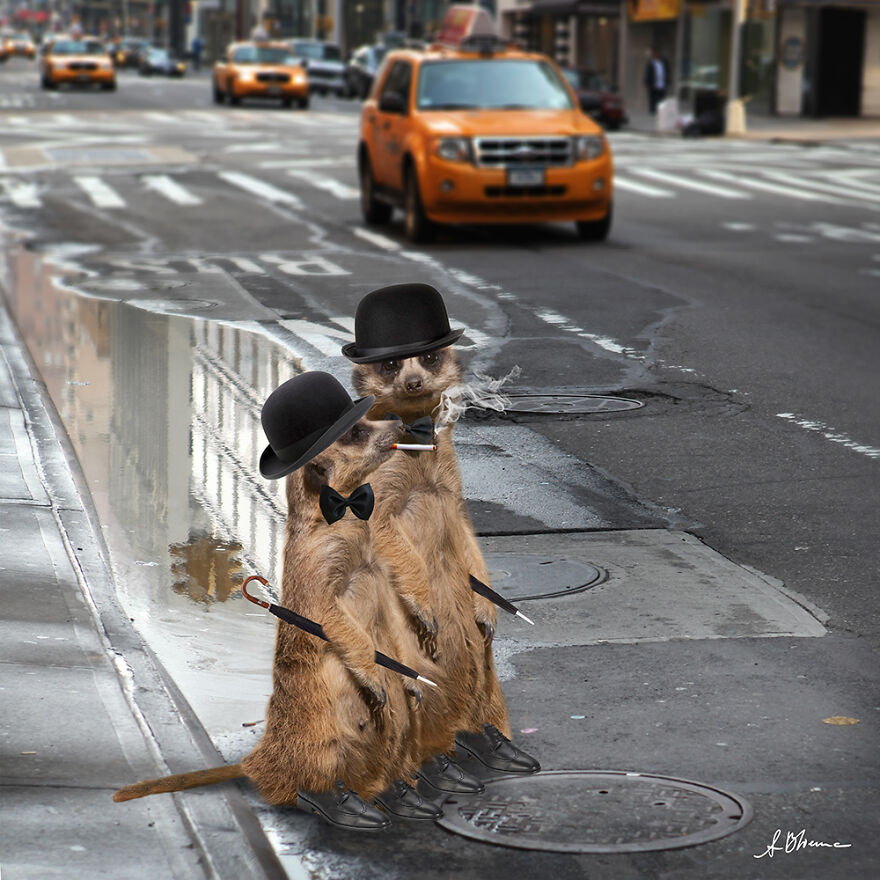 I Make Surreal New Worlds With Photos