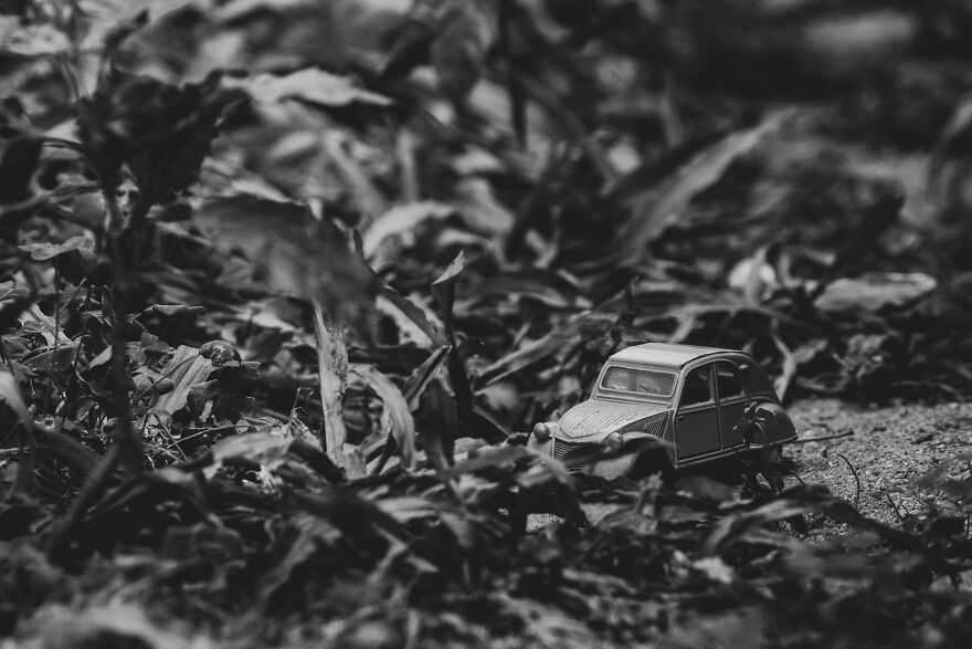 I Joined A Miniature Photographer In His Adventure I Joined A Miniature Photographer In His Adventure