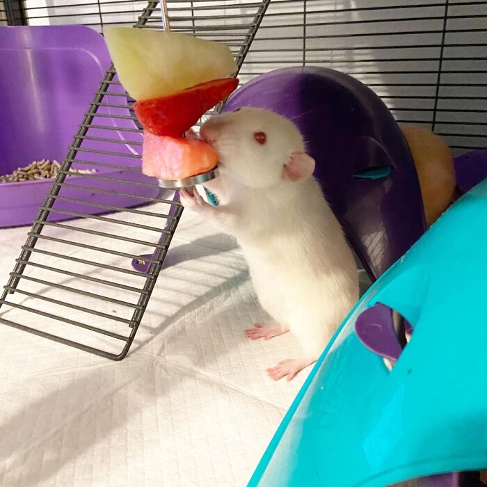 Hey Pandas, Post Your Favorite Picture You&#8217;ve Ever Taken (Closed)