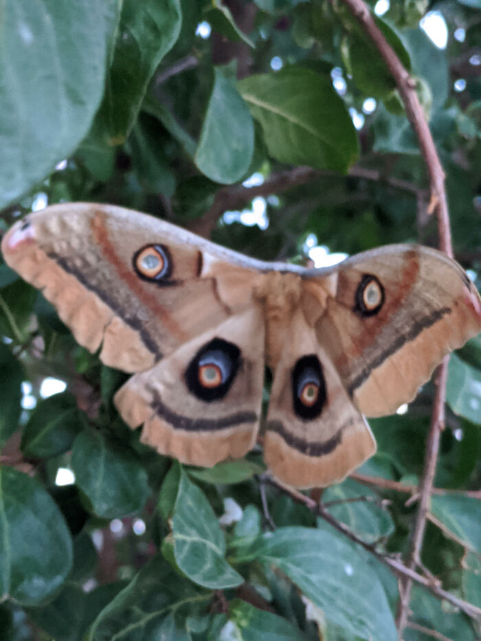 Hey Pandas, Post Your Favorite Picture You&#8217;ve Ever Taken (Closed)