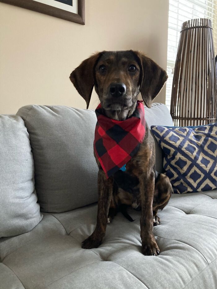 Hey Pandas, Post Your Favorite Picture You&#8217;ve Ever Taken (Closed)