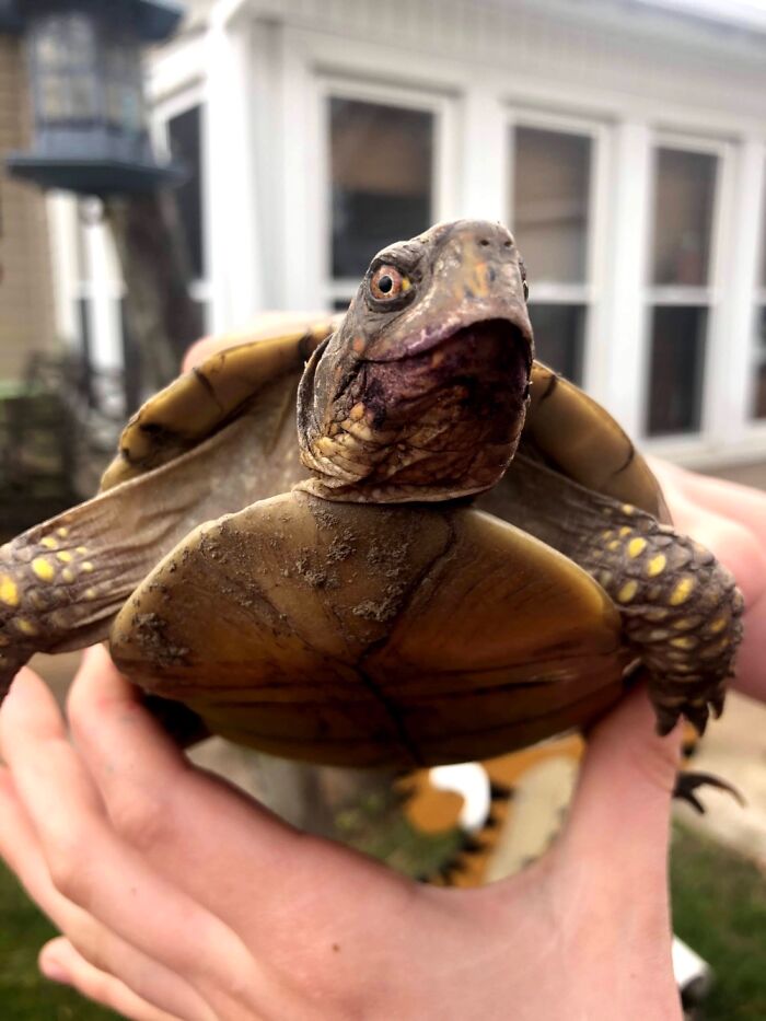 Hey Pandas, Post Your Favorite Picture You&#8217;ve Ever Taken (Closed)