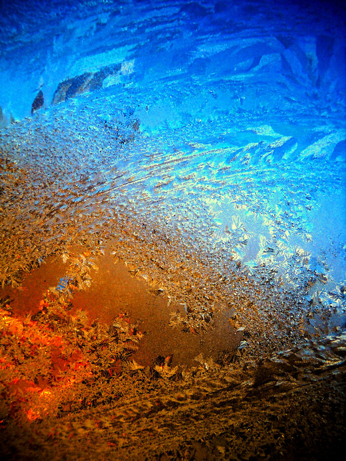 Hey Pandas, Post Your Favorite Picture You&#8217;ve Ever Taken (Closed)