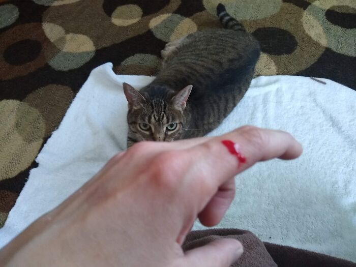 Hey Pandas, Post A Picture Of You And Your Pet Together (Closed)