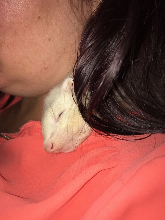 Hey Pandas, Post A Picture Of You And Your Pet Together (Closed)