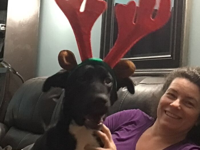 Hey Pandas, What Would Your Pet’s Profile Picture Be If They Could Have One? (Closed) Hey Pandas, What Would Your Pet’s Profile Picture Be If They Could Have One? (Closed)