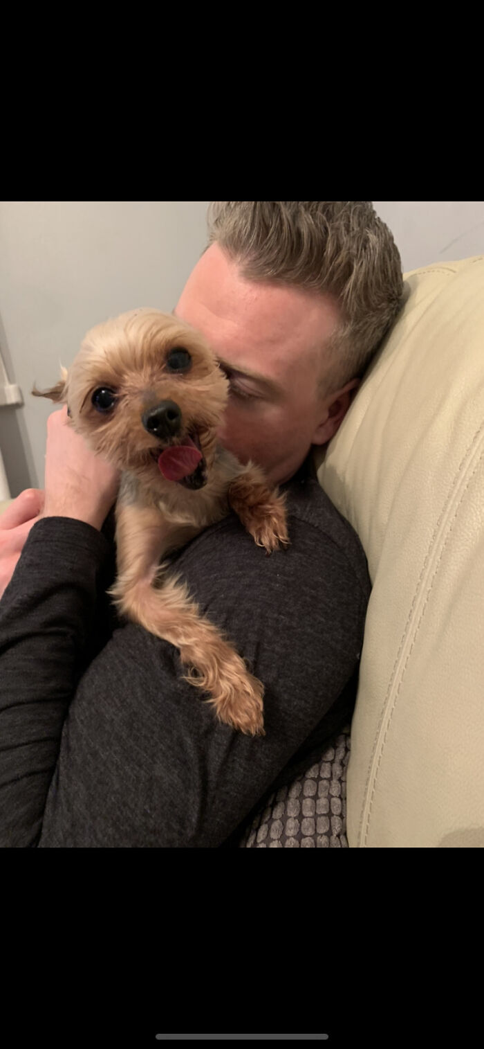 Hey Pandas, What Would Your Pet’s Profile Picture Be If They Could Have One? (Closed) Hey Pandas, What Would Your Pet’s Profile Picture Be If They Could Have One? (Closed)