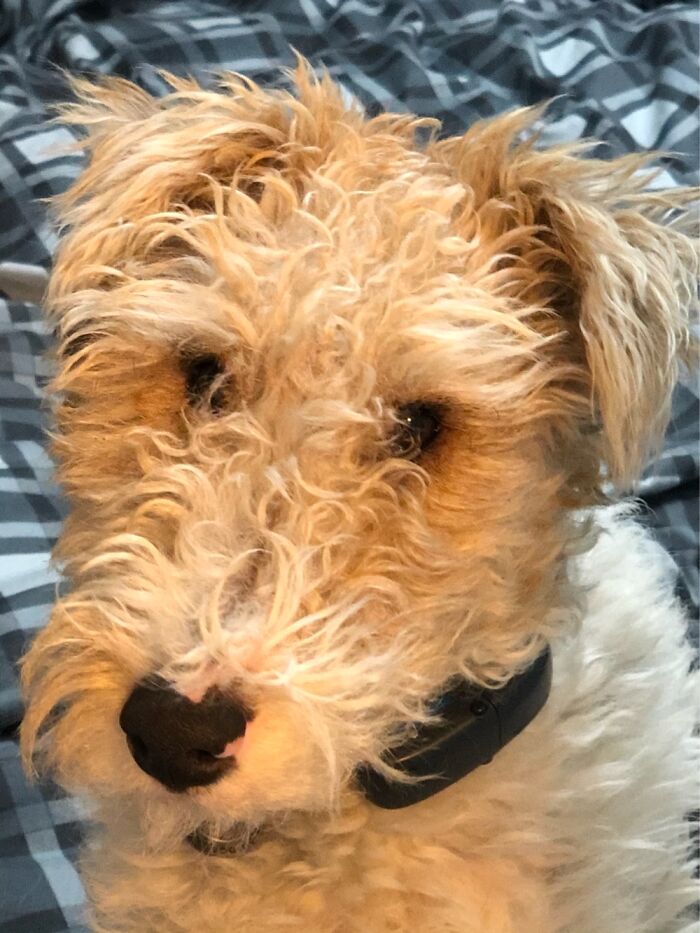 Hey Pandas, What Would Your Pet’s Profile Picture Be If They Could Have One? (Closed) Hey Pandas, What Would Your Pet’s Profile Picture Be If They Could Have One? (Closed)