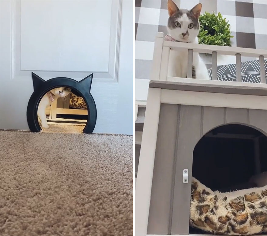 The Most Spoiled Cat You’ll Ever Meet Has Her Own Stylish Room The Most Spoiled Cat You’ll Ever Meet Has Her Own Stylish Room