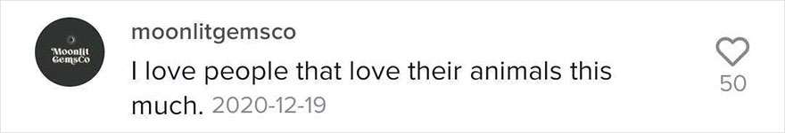 The Most Spoiled Cat You’ll Ever Meet Has Her Own Stylish Room The Most Spoiled Cat You’ll Ever Meet Has Her Own Stylish Room