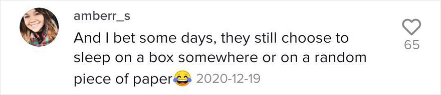 The Most Spoiled Cat You’ll Ever Meet Has Her Own Stylish Room The Most Spoiled Cat You’ll Ever Meet Has Her Own Stylish Room