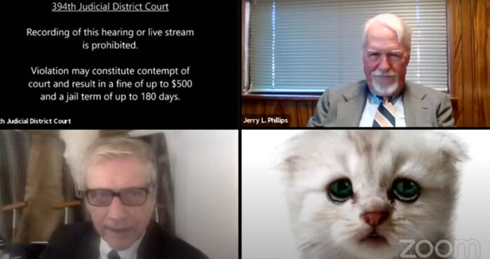 &#8220;I Believe You Have A Filter Turned On&#8221;: Attorney Accidentally Shows Up With A Cat Filter On For A Zoom Court Hearing