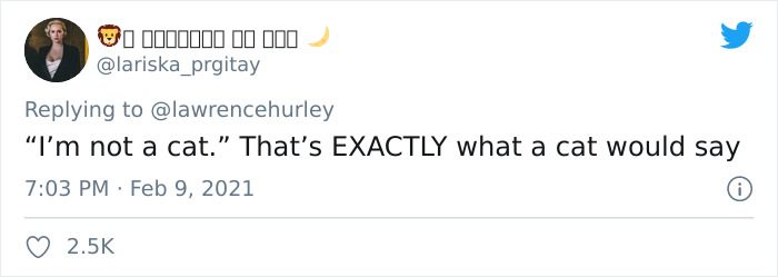 &#8220;I Believe You Have A Filter Turned On&#8221;: Attorney Accidentally Shows Up With A Cat Filter On For A Zoom Court Hearing