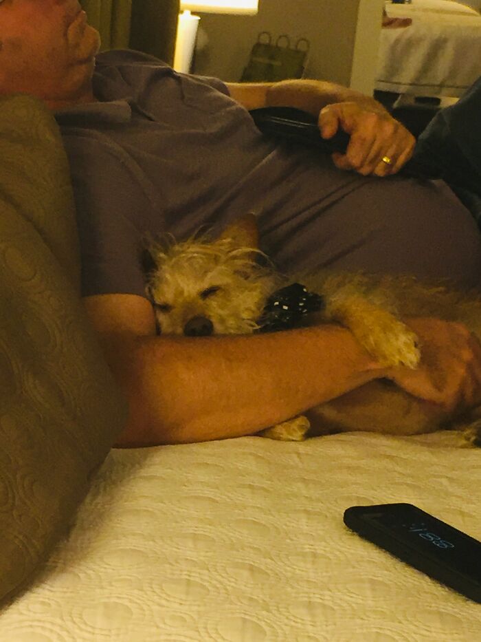 Hey Pandas, Post Weird Things Your Pet Does While Sleeping (Closed) Hey Pandas, Post Weird Things Your Pet Does While Sleeping (Closed)