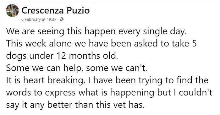 Vet Is Forced To Put A Healthy Pup To Sleep, Pleads With People To Think Twice Before Getting A Dog In Lockdown Vet Is Forced To Put A Healthy Pup To Sleep, Pleads With People To Think Twice Before Getting A Dog In Lockdown