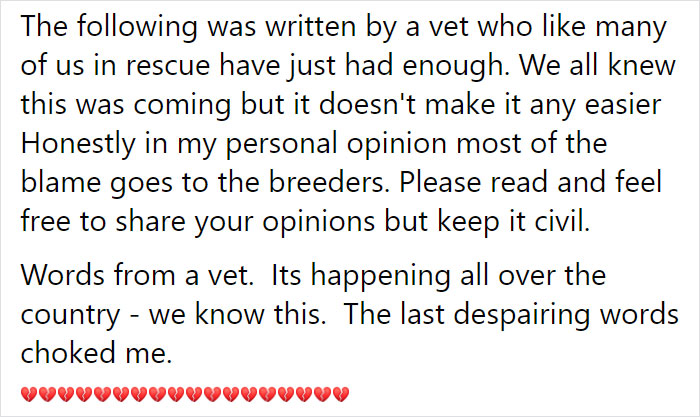 Vet Is Forced To Put A Healthy Pup To Sleep, Pleads With People To Think Twice Before Getting A Dog In Lockdown Vet Is Forced To Put A Healthy Pup To Sleep, Pleads With People To Think Twice Before Getting A Dog In Lockdown