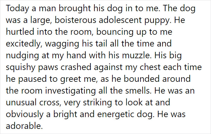 Vet Is Forced To Put A Healthy Pup To Sleep, Pleads With People To Think Twice Before Getting A Dog In Lockdown Vet Is Forced To Put A Healthy Pup To Sleep, Pleads With People To Think Twice Before Getting A Dog In Lockdown