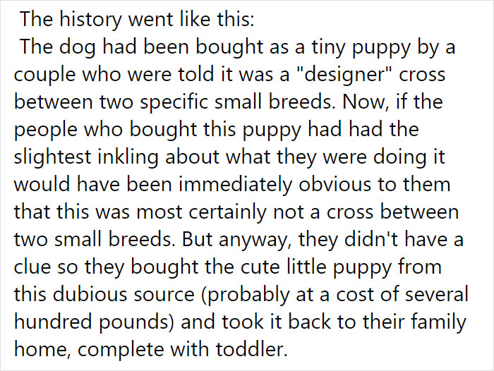Vet Is Forced To Put A Healthy Pup To Sleep, Pleads With People To Think Twice Before Getting A Dog In Lockdown Vet Is Forced To Put A Healthy Pup To Sleep, Pleads With People To Think Twice Before Getting A Dog In Lockdown