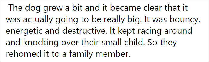 Vet Is Forced To Put A Healthy Pup To Sleep, Pleads With People To Think Twice Before Getting A Dog In Lockdown Vet Is Forced To Put A Healthy Pup To Sleep, Pleads With People To Think Twice Before Getting A Dog In Lockdown