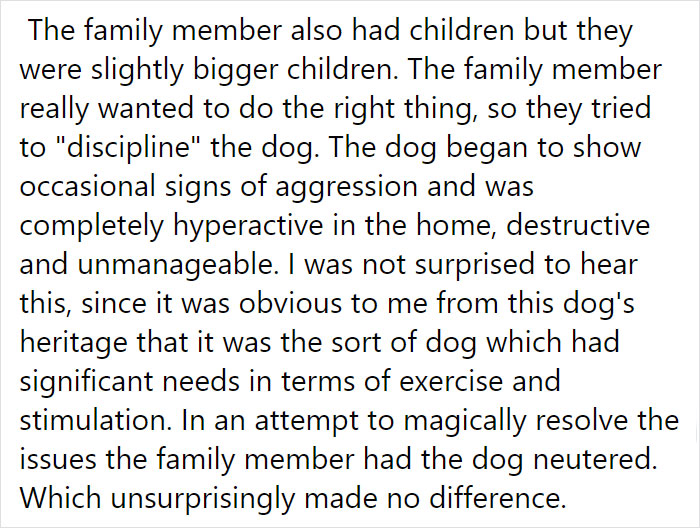 Vet Is Forced To Put A Healthy Pup To Sleep, Pleads With People To Think Twice Before Getting A Dog In Lockdown Vet Is Forced To Put A Healthy Pup To Sleep, Pleads With People To Think Twice Before Getting A Dog In Lockdown
