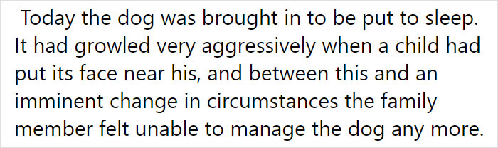 Vet Is Forced To Put A Healthy Pup To Sleep, Pleads With People To Think Twice Before Getting A Dog In Lockdown Vet Is Forced To Put A Healthy Pup To Sleep, Pleads With People To Think Twice Before Getting A Dog In Lockdown