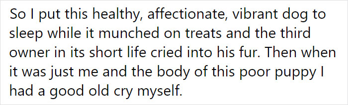Vet Is Forced To Put A Healthy Pup To Sleep, Pleads With People To Think Twice Before Getting A Dog In Lockdown Vet Is Forced To Put A Healthy Pup To Sleep, Pleads With People To Think Twice Before Getting A Dog In Lockdown