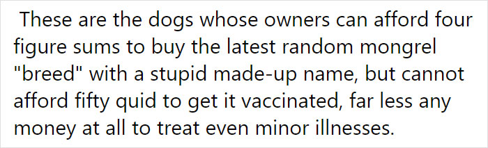Vet Is Forced To Put A Healthy Pup To Sleep, Pleads With People To Think Twice Before Getting A Dog In Lockdown Vet Is Forced To Put A Healthy Pup To Sleep, Pleads With People To Think Twice Before Getting A Dog In Lockdown