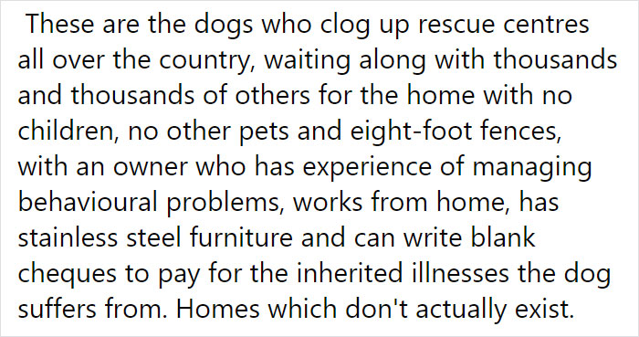 Vet Is Forced To Put A Healthy Pup To Sleep, Pleads With People To Think Twice Before Getting A Dog In Lockdown Vet Is Forced To Put A Healthy Pup To Sleep, Pleads With People To Think Twice Before Getting A Dog In Lockdown