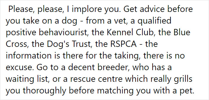 Vet Is Forced To Put A Healthy Pup To Sleep, Pleads With People To Think Twice Before Getting A Dog In Lockdown Vet Is Forced To Put A Healthy Pup To Sleep, Pleads With People To Think Twice Before Getting A Dog In Lockdown