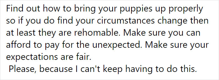 Vet Is Forced To Put A Healthy Pup To Sleep, Pleads With People To Think Twice Before Getting A Dog In Lockdown Vet Is Forced To Put A Healthy Pup To Sleep, Pleads With People To Think Twice Before Getting A Dog In Lockdown