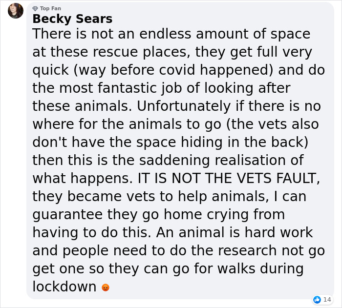 Vet Is Forced To Put A Healthy Pup To Sleep, Pleads With People To Think Twice Before Getting A Dog In Lockdown Vet Is Forced To Put A Healthy Pup To Sleep, Pleads With People To Think Twice Before Getting A Dog In Lockdown