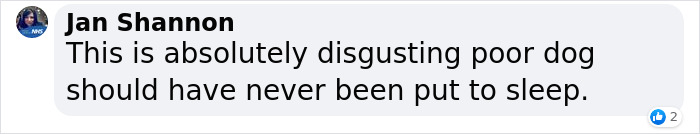 Vet Is Forced To Put A Healthy Pup To Sleep, Pleads With People To Think Twice Before Getting A Dog In Lockdown Vet Is Forced To Put A Healthy Pup To Sleep, Pleads With People To Think Twice Before Getting A Dog In Lockdown