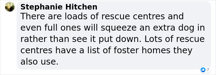 Vet Is Forced To Put A Healthy Pup To Sleep, Pleads With People To Think Twice Before Getting A Dog In Lockdown Vet Is Forced To Put A Healthy Pup To Sleep, Pleads With People To Think Twice Before Getting A Dog In Lockdown