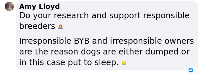 Vet Is Forced To Put A Healthy Pup To Sleep, Pleads With People To Think Twice Before Getting A Dog In Lockdown Vet Is Forced To Put A Healthy Pup To Sleep, Pleads With People To Think Twice Before Getting A Dog In Lockdown