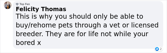Vet Is Forced To Put A Healthy Pup To Sleep, Pleads With People To Think Twice Before Getting A Dog In Lockdown Vet Is Forced To Put A Healthy Pup To Sleep, Pleads With People To Think Twice Before Getting A Dog In Lockdown