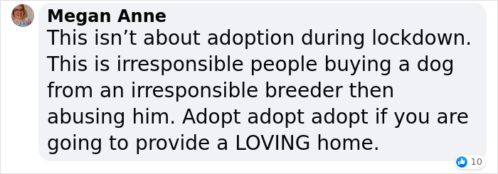 Vet Is Forced To Put A Healthy Pup To Sleep, Pleads With People To Think Twice Before Getting A Dog In Lockdown Vet Is Forced To Put A Healthy Pup To Sleep, Pleads With People To Think Twice Before Getting A Dog In Lockdown