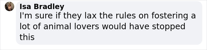 Vet Is Forced To Put A Healthy Pup To Sleep, Pleads With People To Think Twice Before Getting A Dog In Lockdown Vet Is Forced To Put A Healthy Pup To Sleep, Pleads With People To Think Twice Before Getting A Dog In Lockdown