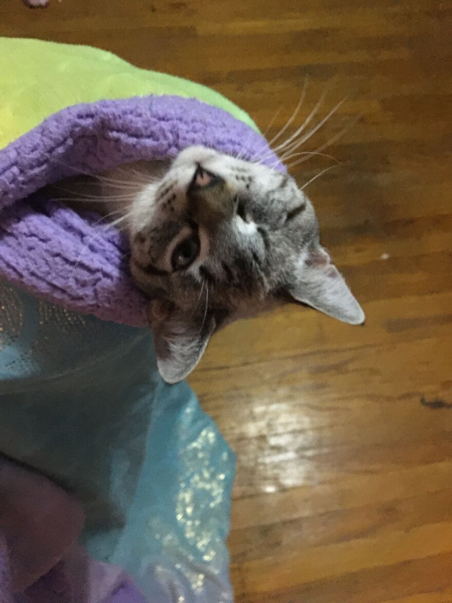 Hey Pandas, What Was The Last Photo You Took? (Closed) Hey Pandas, What Was The Last Photo You Took? (Closed)