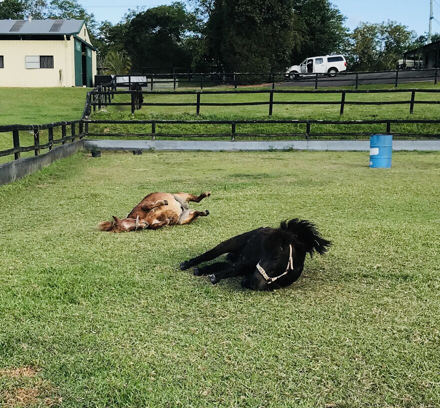 Hey Pandas, What Was The Last Photo You Took? (Closed) Hey Pandas, What Was The Last Photo You Took? (Closed)