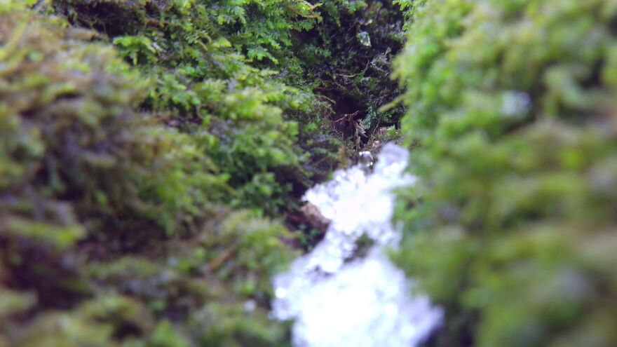 Hey Pandas, What Was The Last Photo You Took? (Closed) Hey Pandas, What Was The Last Photo You Took? (Closed)