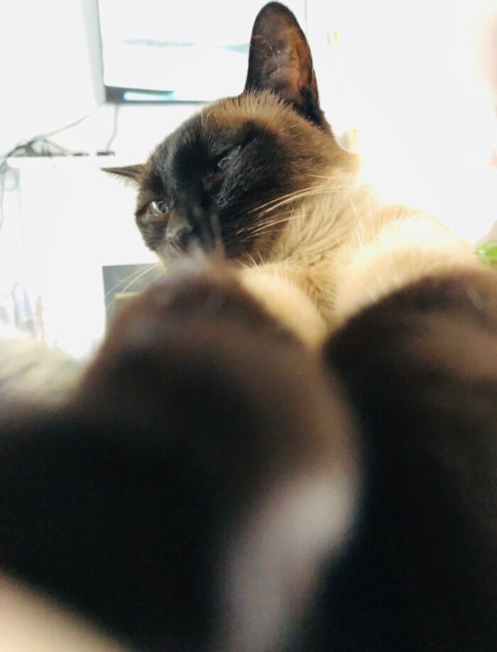 Hey Pandas, Look Through Your Phone’s Photo Trash And Share The Weirdest Pics Without Context (Closed)