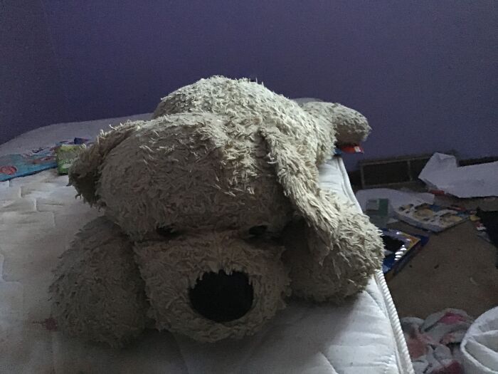 Hey Pandas, Show Us Something That You Have Given A Name To (Closed) Hey Pandas, Show Us Something That You Have Given A Name To (Closed)