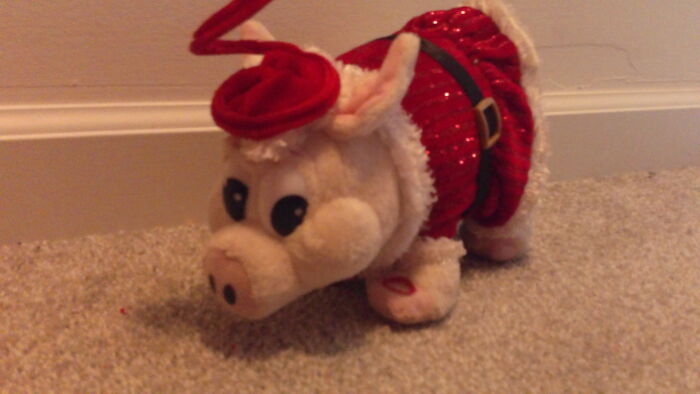 Hey Pandas, Show Us Something That You Have Given A Name To (Closed) Hey Pandas, Show Us Something That You Have Given A Name To (Closed)