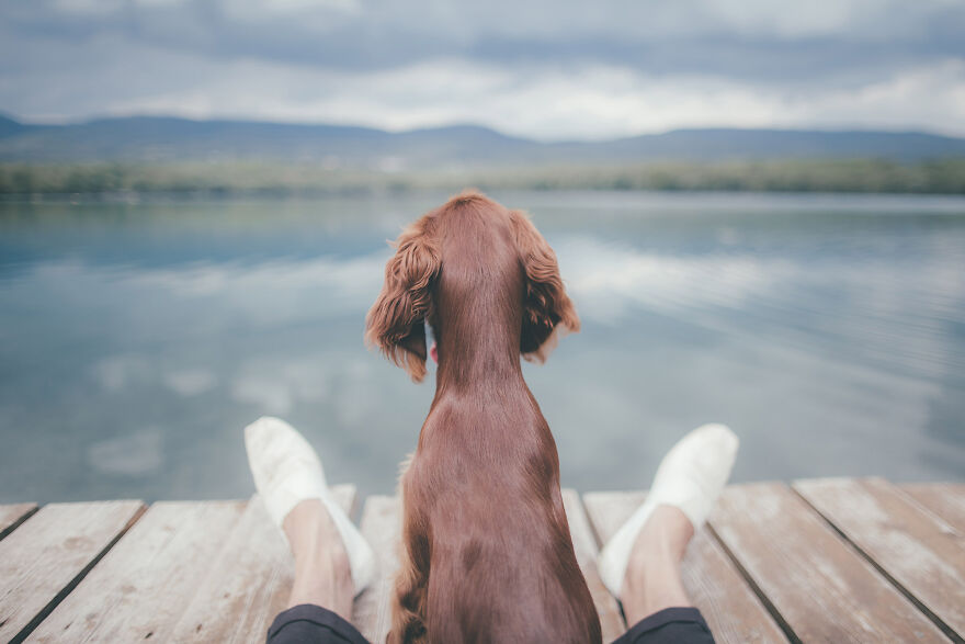 My Life With Baloo (19 Pics) My Life With Baloo (19 Pics)