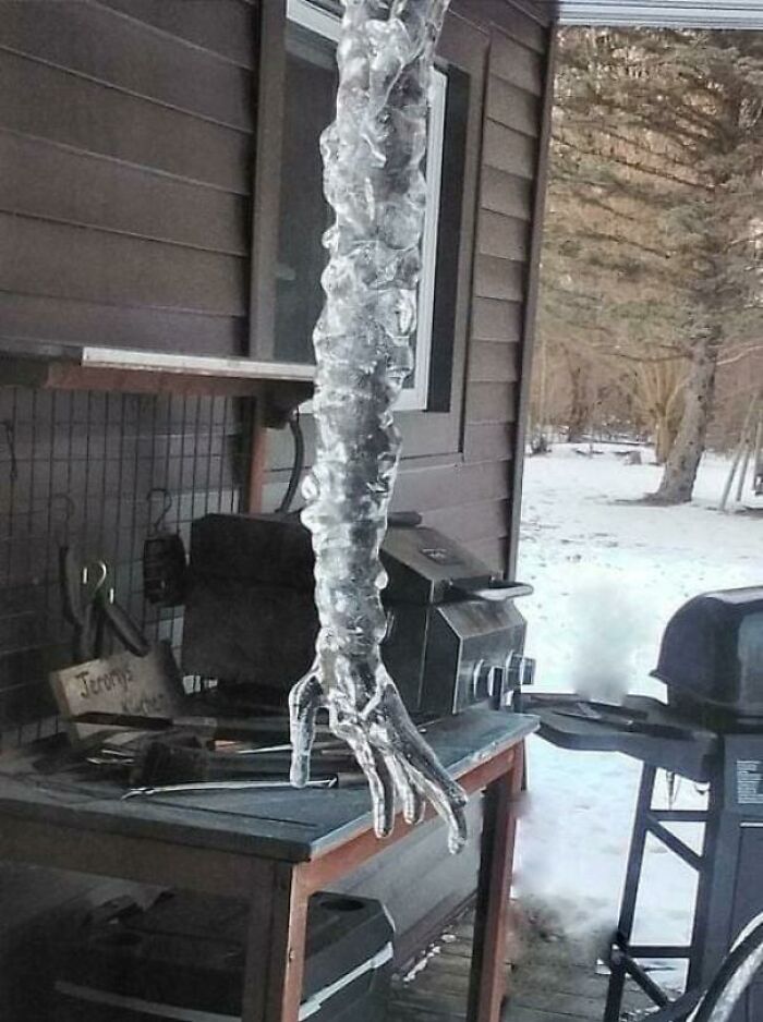 50 Times People Experienced A Serious Case Of Pareidolia And Documented It Online