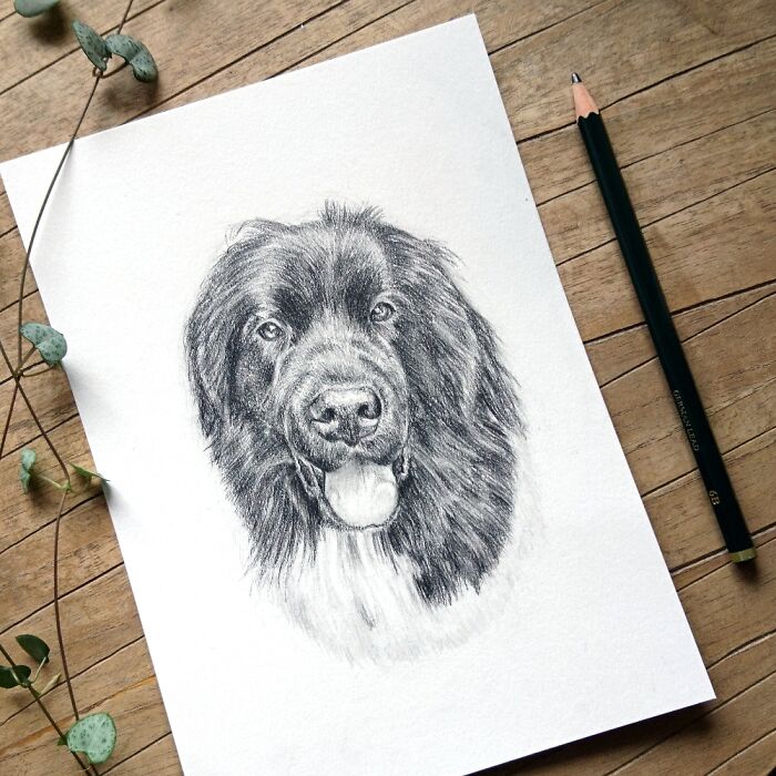 Hey Pandas, Draw A Dog (Closed) Hey Pandas, Draw A Dog (Closed)