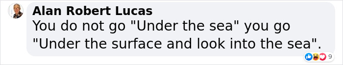 Whale-Shaped Marine Observatory Will Let Visitors Take A Look Under the Sea Whale-Shaped Marine Observatory Will Let Visitors Take A Look Under the Sea