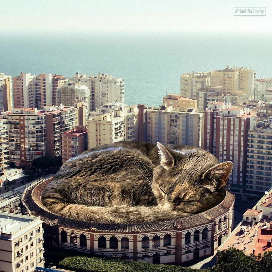 This Artist Uses Photoshop To Create Surreal Giant Cat Landscapes, Here Are His Best 30 Edits This Artist Uses Photoshop To Create Surreal Giant Cat Landscapes, Here Are His Best 30 Edits